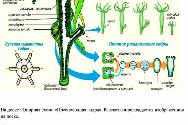 Кракен 12 сайт