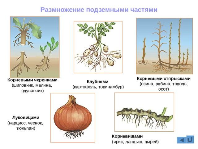 Не получается зайти на кракен